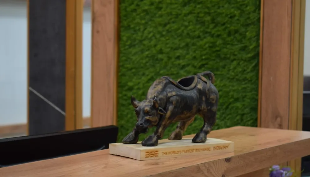 Bull statue on the reception counter at the Kanethic office